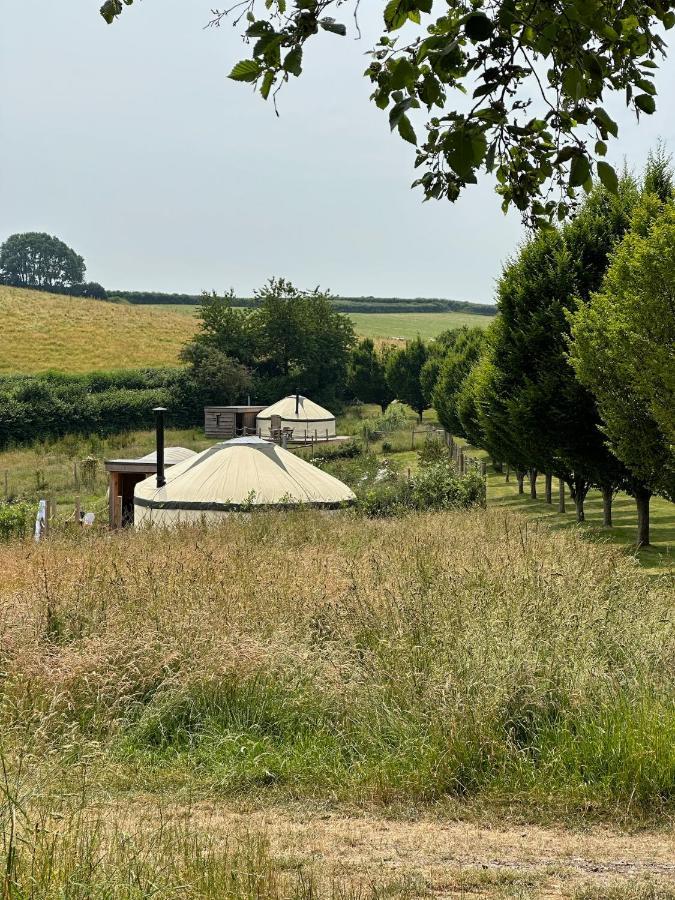 Hotel Bracken Yurt At Walnut Farm Glamping Netherbury Esterno foto